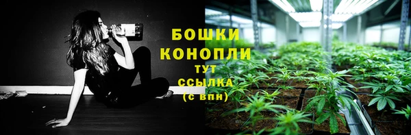 шишки Ельня
