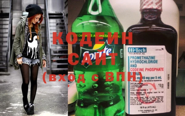 шишки Ельня