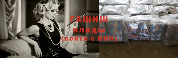 шишки Ельня
