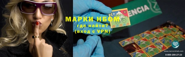 шишки Ельня