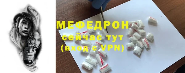 шишки Ельня