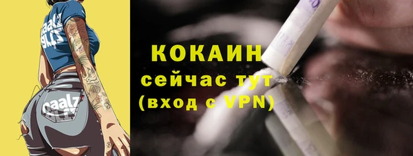 шишки Ельня