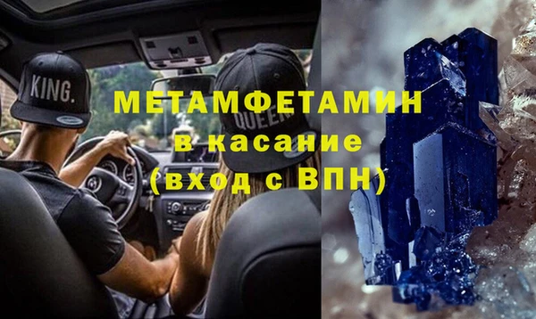 шишки Ельня