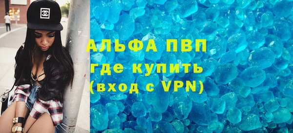 шишки Ельня
