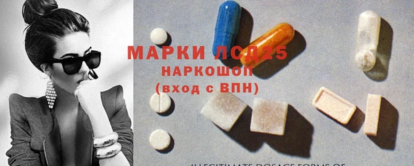 шишки Ельня