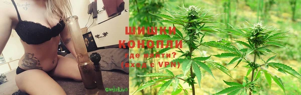 шишки Ельня