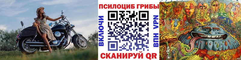 Купить закладки  Алексин  Галлюциногенные грибы ЛСД 